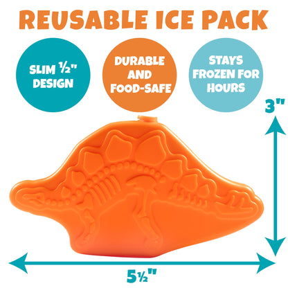 Bentology Juego de bolsas de almuerzo para niños con botella