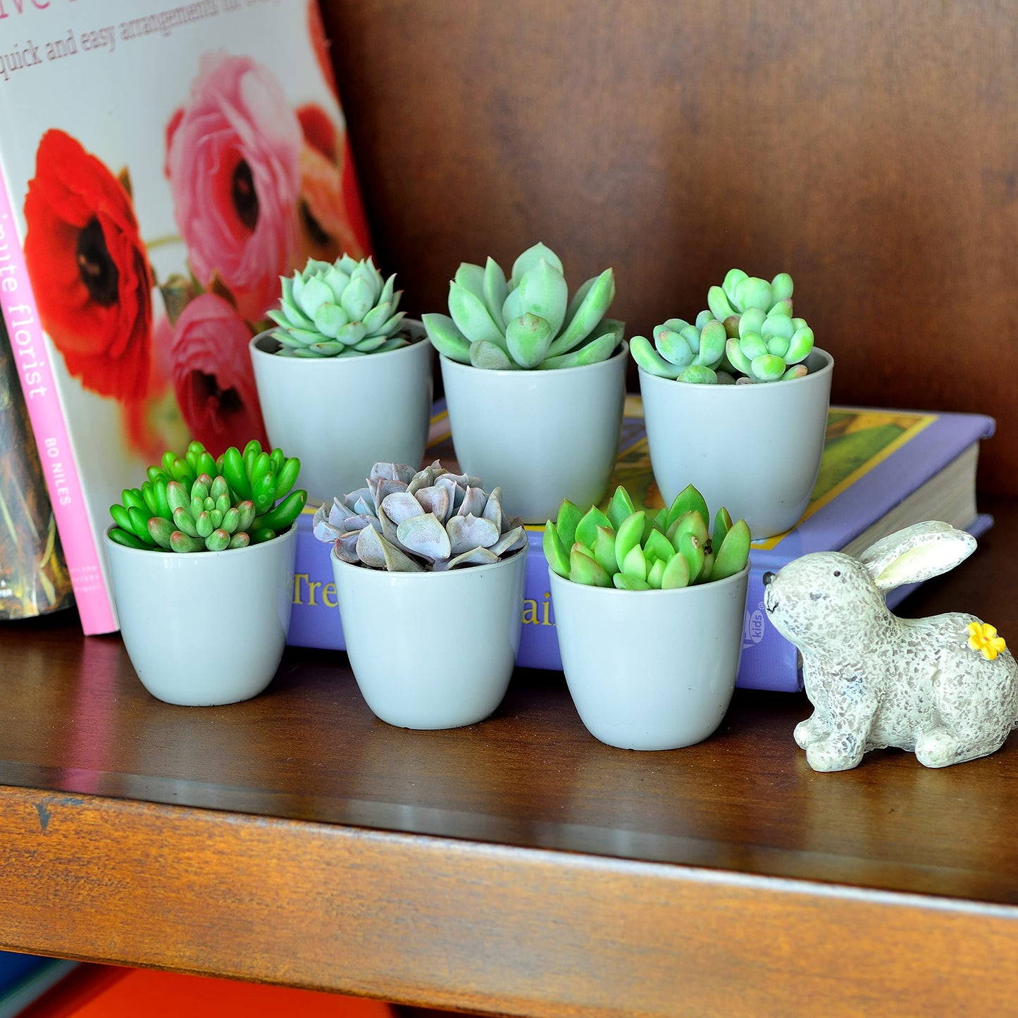 Youngever Paquete de 24 mini macetas de plástico de 2.0 in