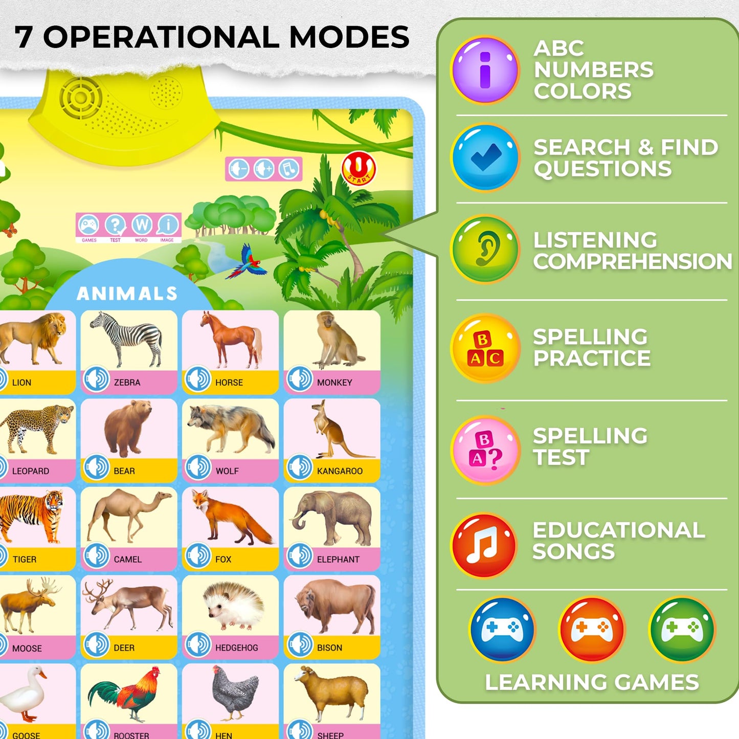 QUOKKA Juguetes Educativos para Niños de 5-7 Años - Conjunto de 4 Verticales 4 Gráficos de Pared de Aprendizaje