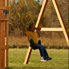 Swing-N-Slide WS 4773- Columpio de alta resistencia extrema