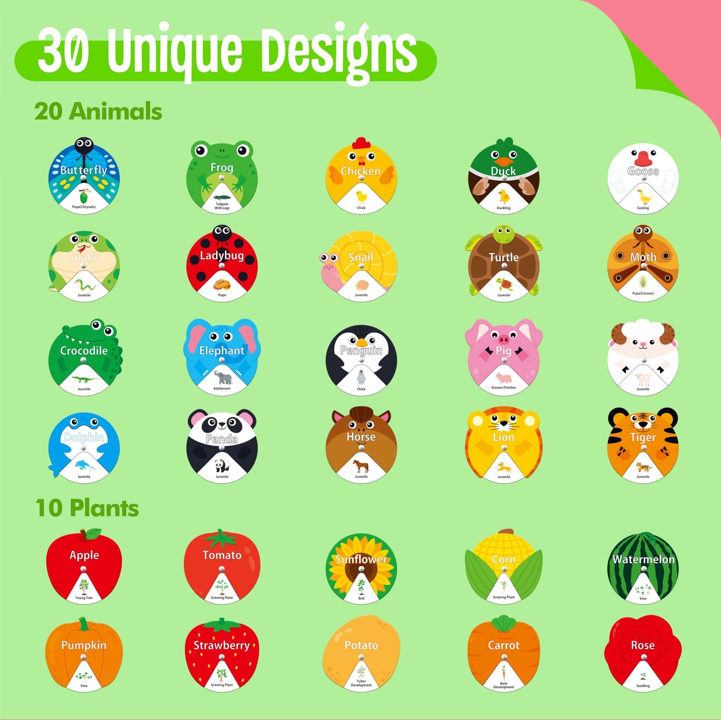 30 piezas de hilanderos de ciclo de vida, 20 animales y 10 plantas