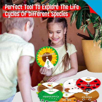30 piezas de hilanderos de ciclo de vida, 20 animales y 10 plantas