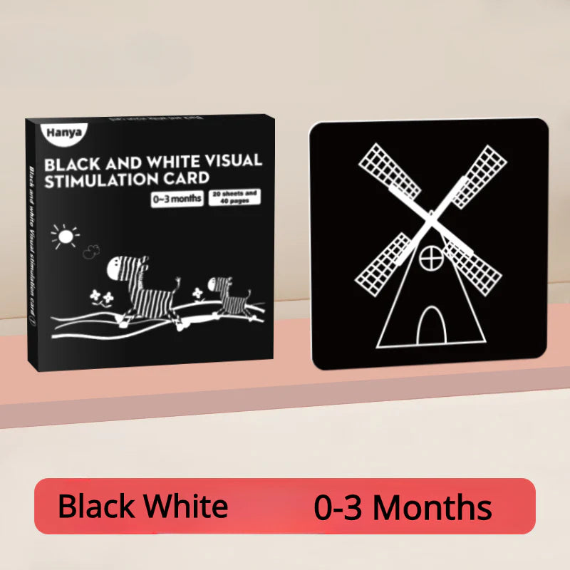 Tarjetas flash blancas y negras para bebés, 80 tarjetas, 160 páginas, 8.4 x 8.4 pulgadas