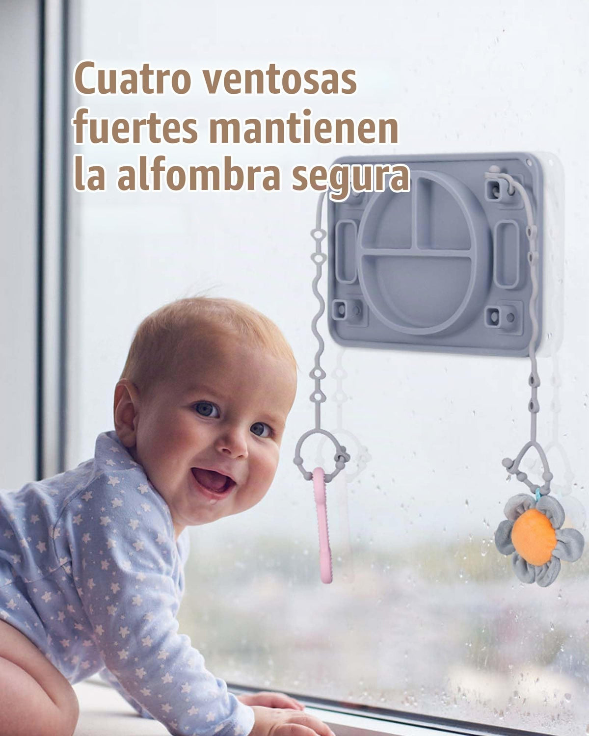 Plato de Silicon con divisiones gris azulado