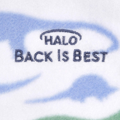 HALO SleepSack saco de dormir envolvente de 100 % algodón, 3-6 meses