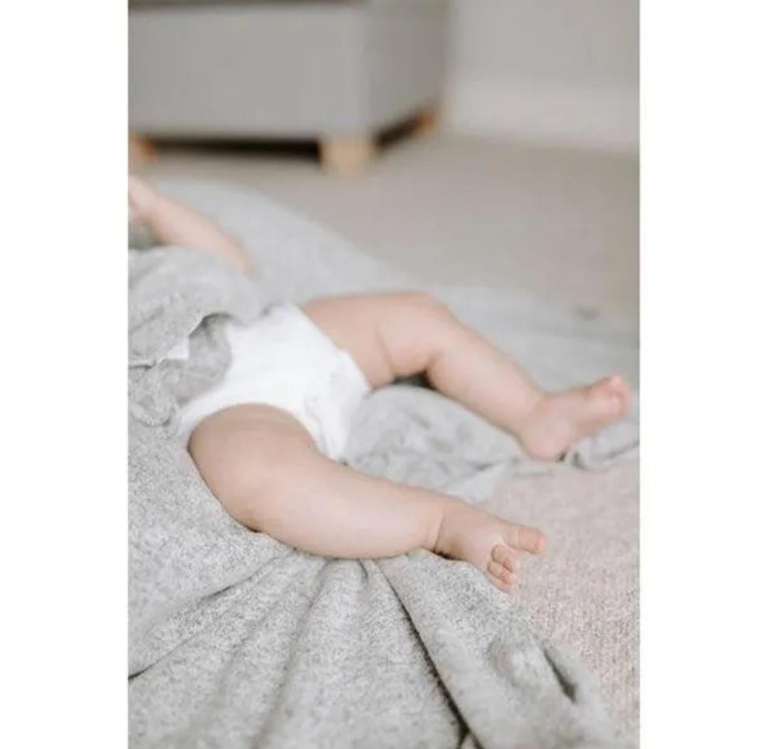 Aden + Anais Grey
