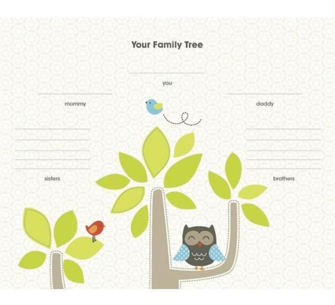 My First Calendar Carter's
