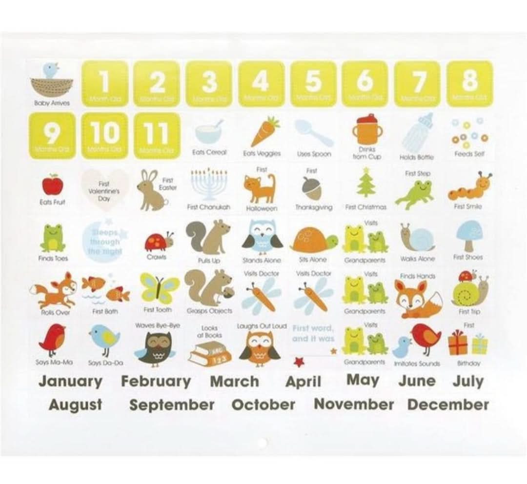 My First Calendar Carter's