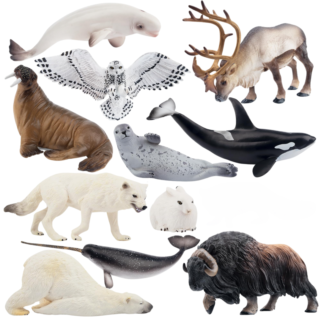 Toymany 11 figuras de animales polares grandes de 4 a 7 pulgadas