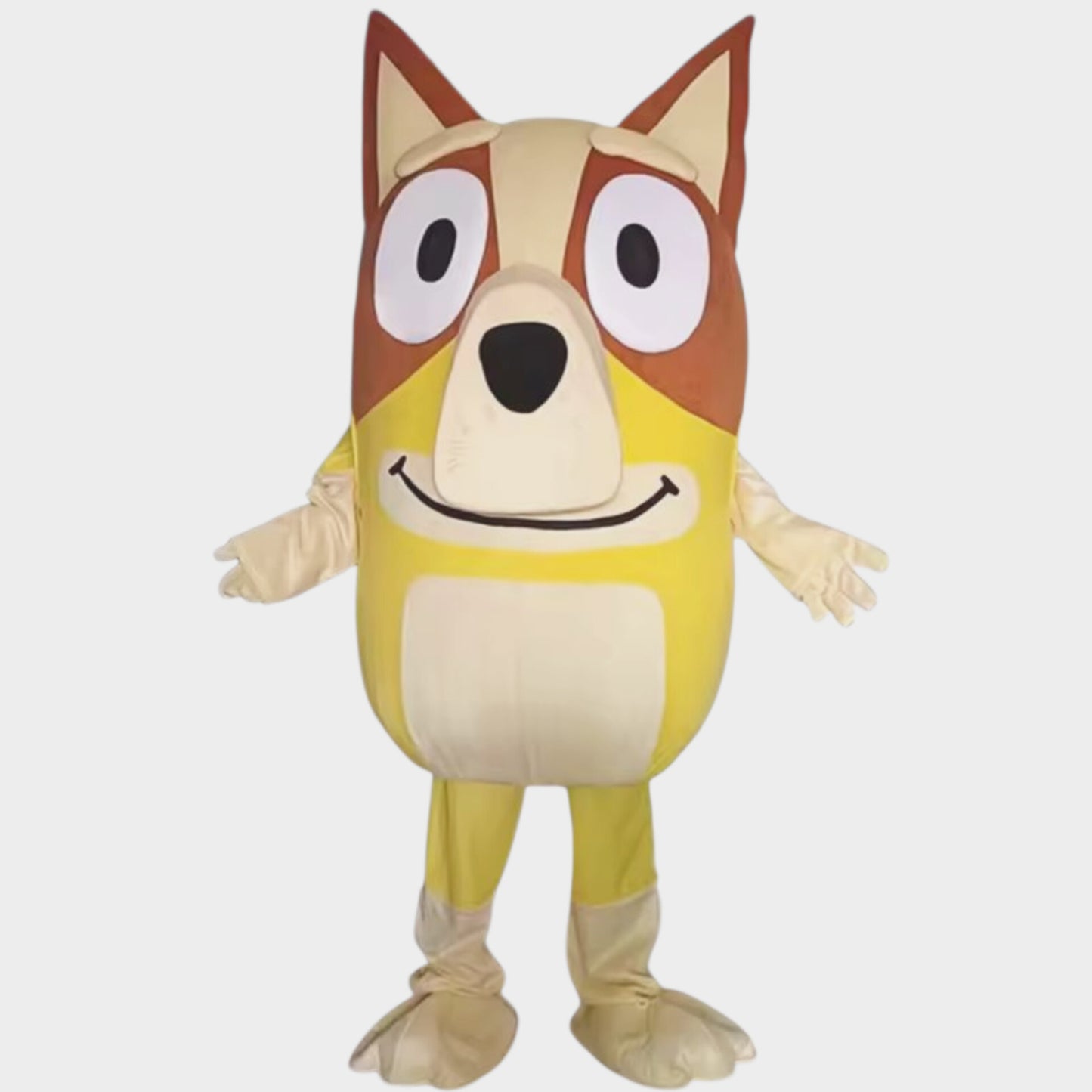 Disfraz para adulto de Bingo