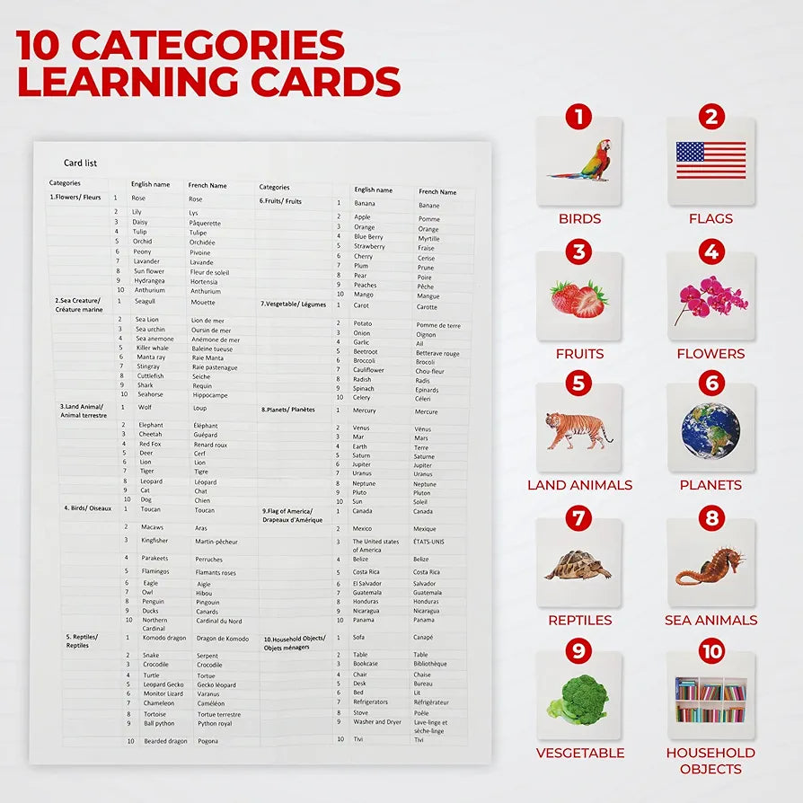 Tarjetas didácticas Kiddo Knowledge para bebés - 100 tarjetas de aprendizaje