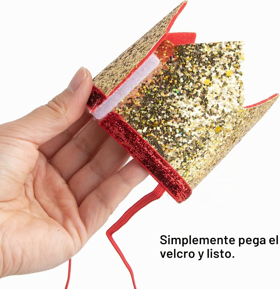 Corona de cumpleaños 1