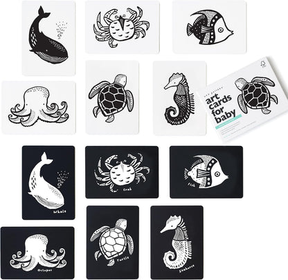 Wee Gallery – tarjetas de alto contraste de animales del océano, imagen 1