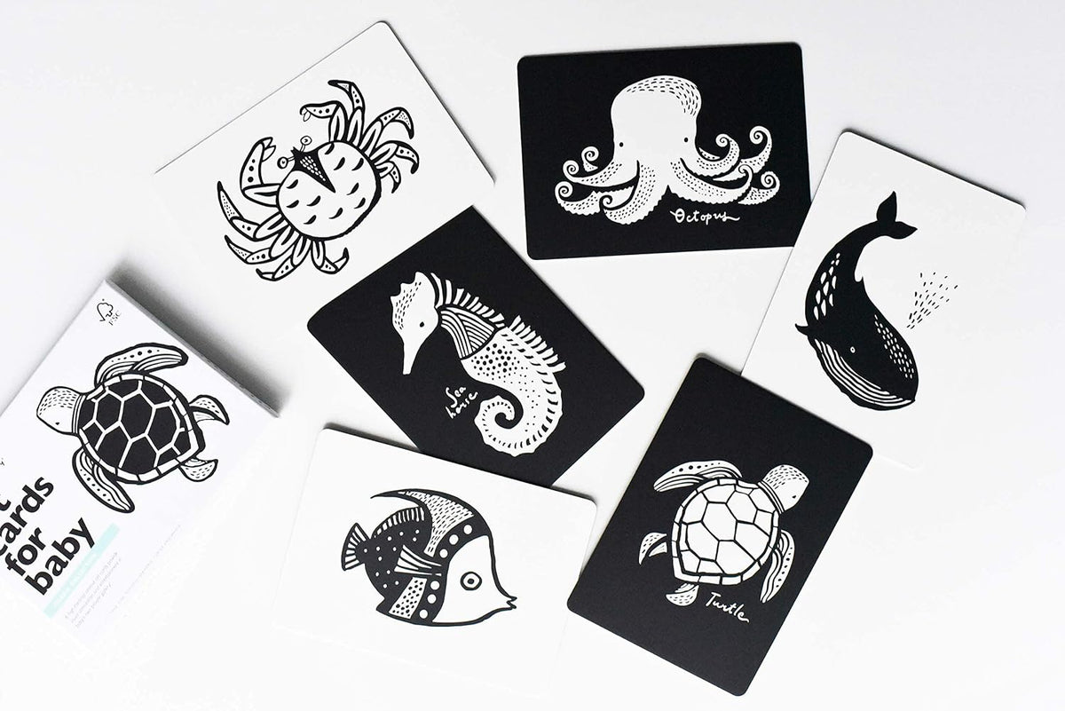 Wee Gallery – tarjetas de alto contraste de animales del océano, imagen 5
